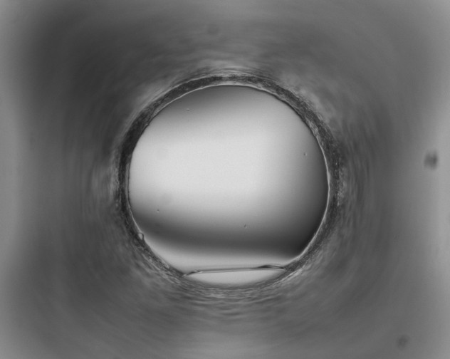 X0000097901261200803211433