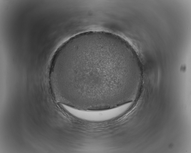 X0000097901263200803211433