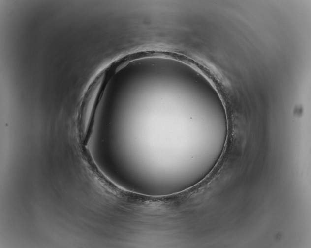 X0000097901264200803211433