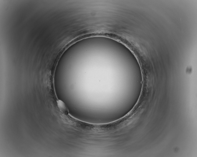 X0000097901265200803211433