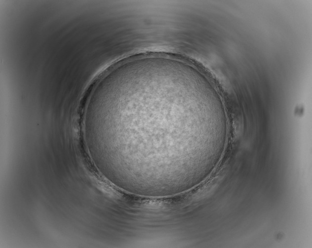 X0000097901266200803211433