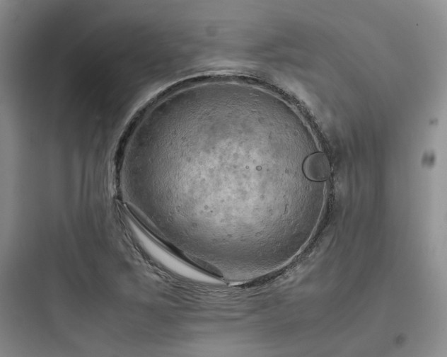 X0000097901267200803211433