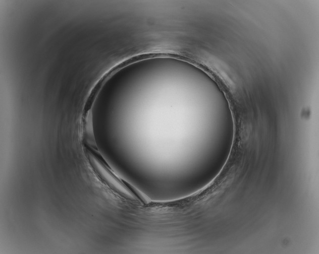 X0000097901268200803211433