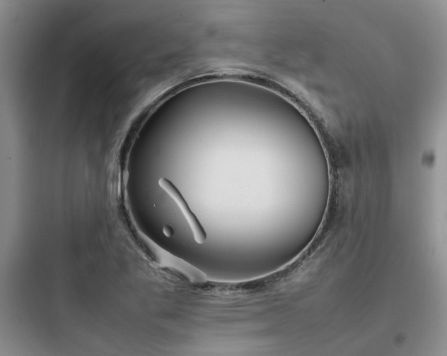 X0000097901269200803211433