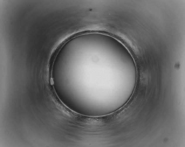 X0000097901270200803211433