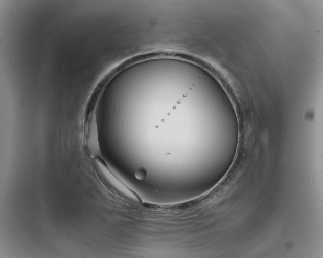 X0000097901271200803211433