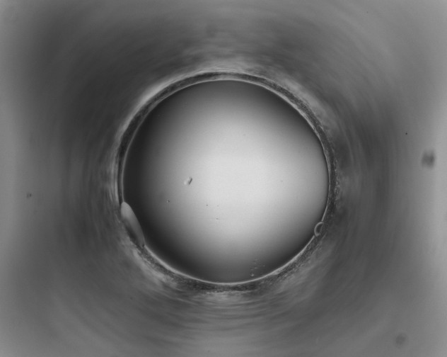 X0000097901272200803211433
