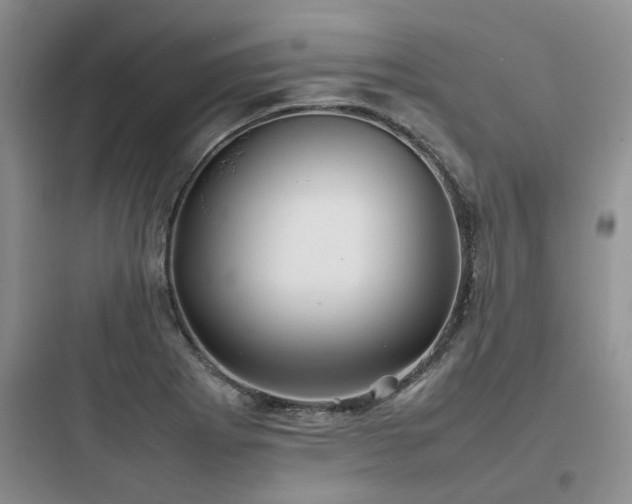 X0000097901273200803211433