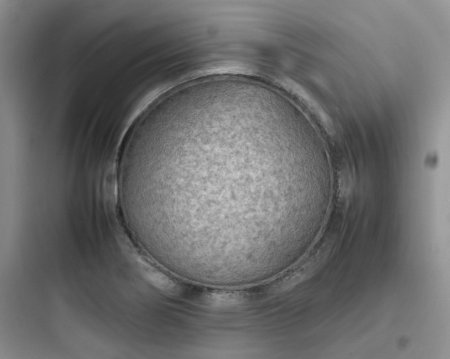 X0000097901274200803211433