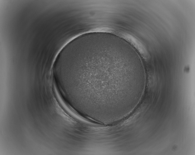 X0000097901276200803211433