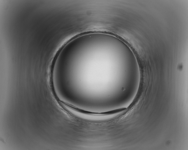 X0000097901277200803211433