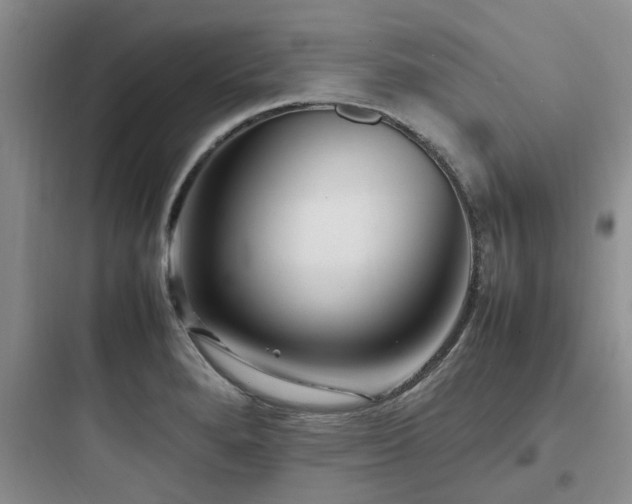 X0000097901280200803211433