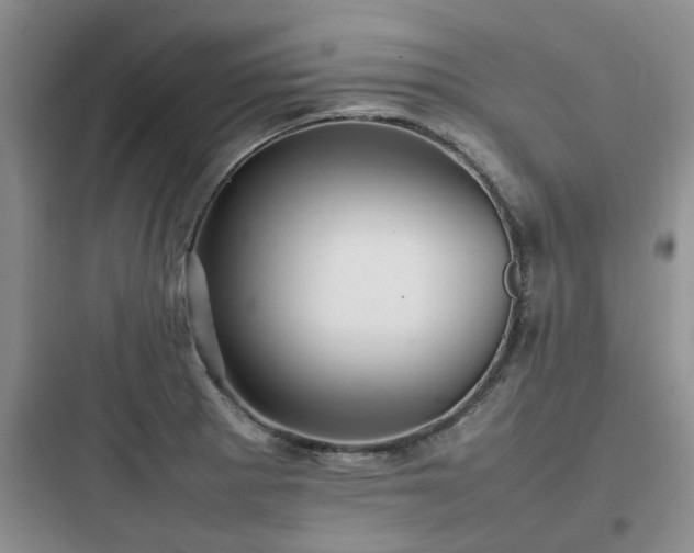 X0000097901281200803211433