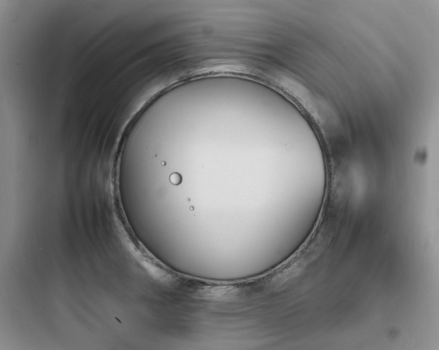 X0000097901282200803211433