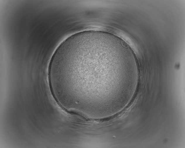 X0000097901283200803211433