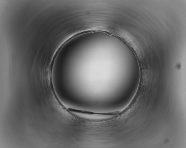 X0000097901284200803211433