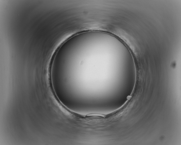 X0000097901285200803211433