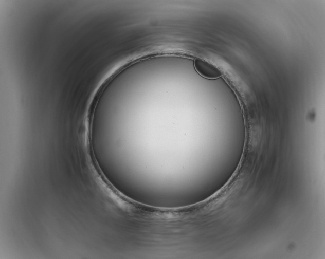 X0000097901286200803211433