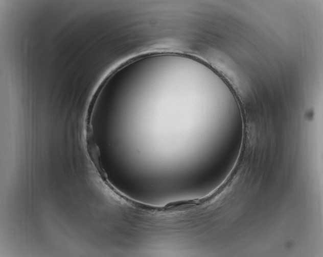 X0000097901288200803211433