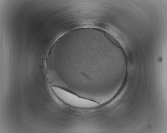 X0000097901289200803211433