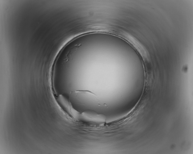 X0000097901291200803211433