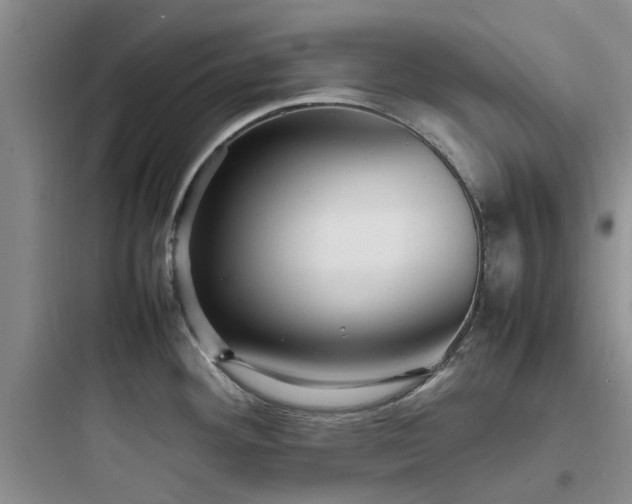 X0000097901292200803211433