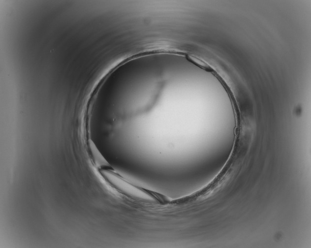 X0000097901293200803211433