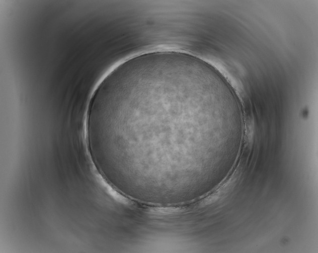 X0000097901294200803211433