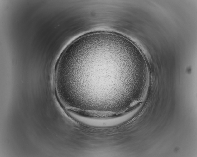 X0000097901295200803211432