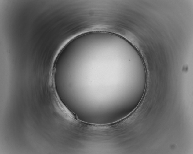 X0000097901296200803211432