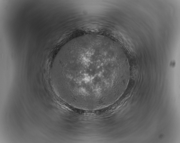 X0000097901297200803211432