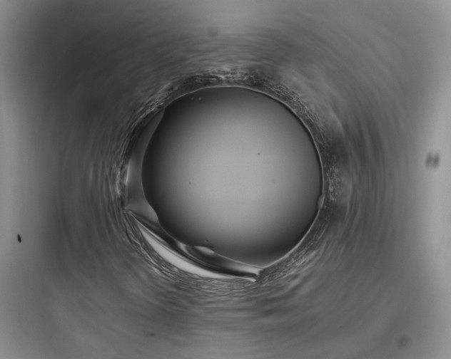 X0000097901298200803211432
