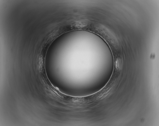 X0000097901299200803211432