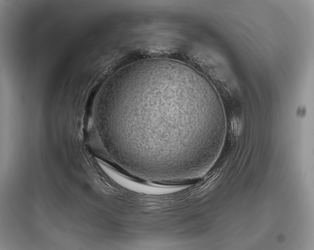X0000097901300200803211432