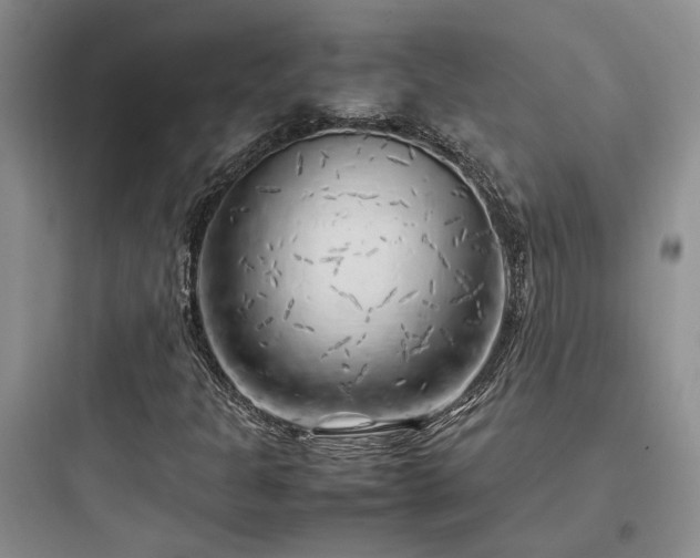X0000097901301200803211432