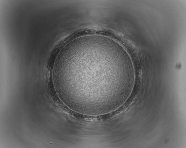 X0000097901302200803211432