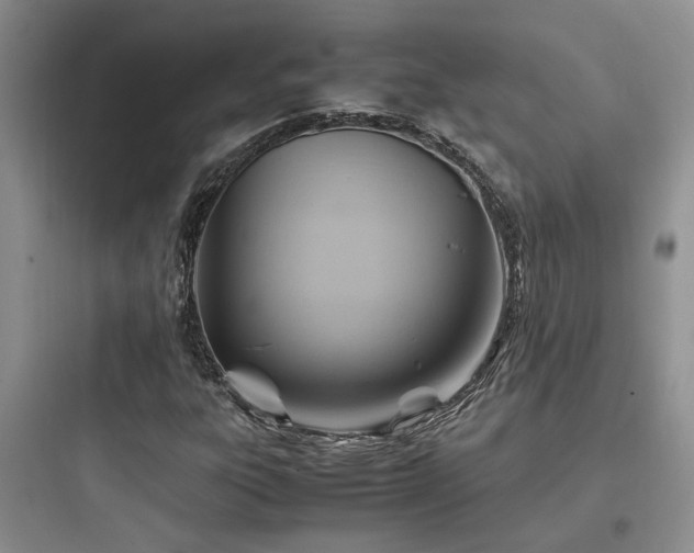 X0000097901303200803211432