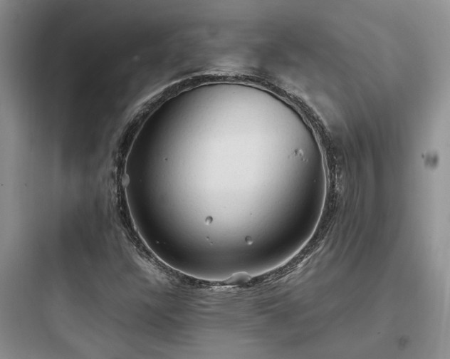 X0000097901304200803211432