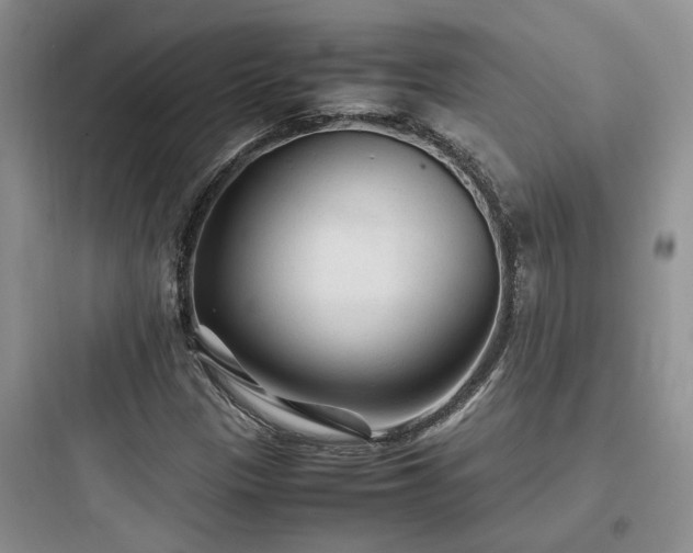 X0000097901305200803211432