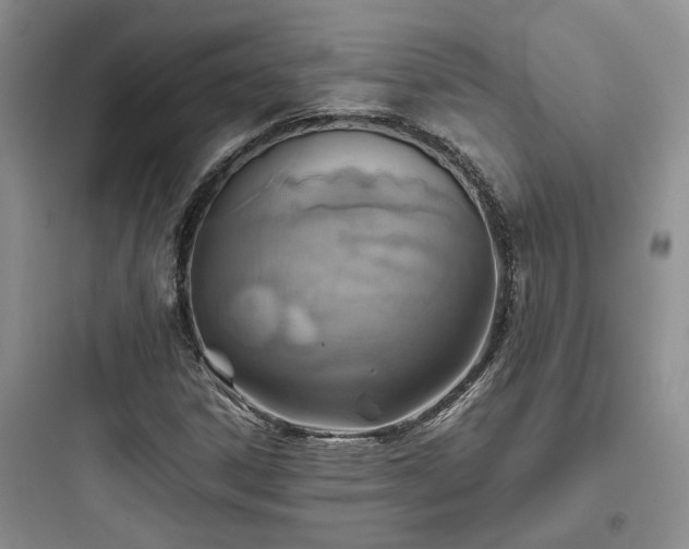 X0000097901306200803211432