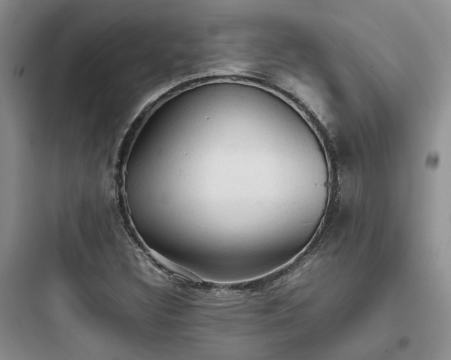 X0000097901308200803211432