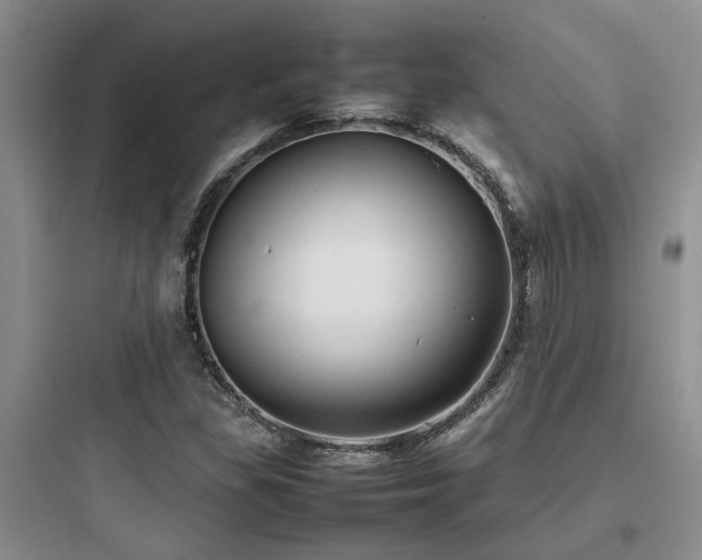 X0000097901309200803211432