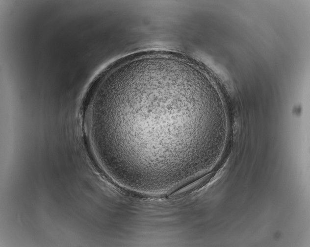 X0000097901310200803211432