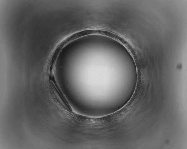 X0000097901311200803211432