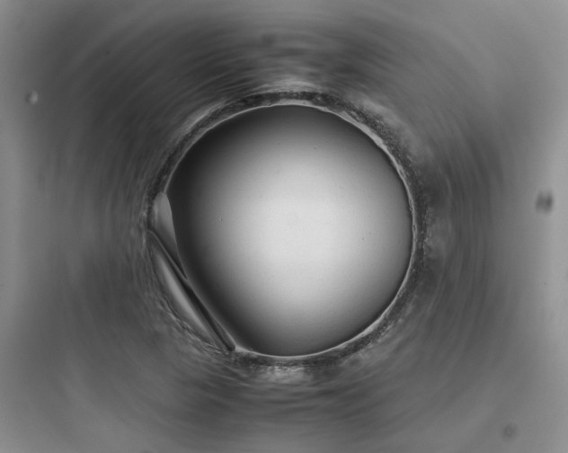 X0000097901313200803211432
