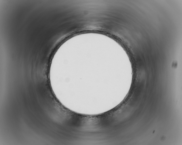 X0000097901314200803211432