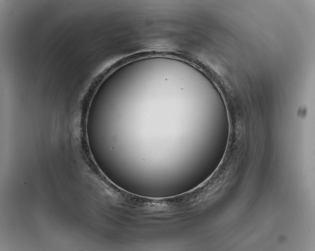 X0000097901315200803211432