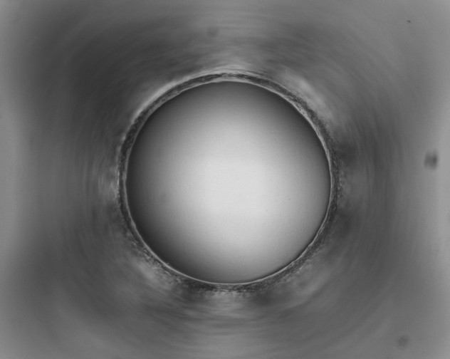 X0000097901316200803211432