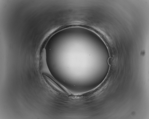 X0000097901317200803211432
