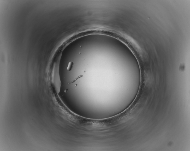 X0000097901318200803211432